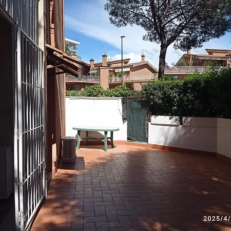 Apartament Per Uso Turistico Falcocchio Massimo Rzym
